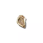 OXO-Nóż do ostryg Good Grips - 10