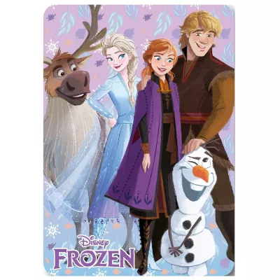 Koc polarowy 100x140 Kraina Lodu 5429