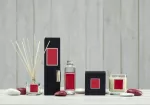 CM-Dyfuzor Santiago  Reed 100ml. Red fruits - 2