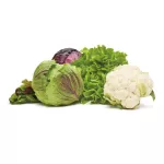 OXO-Pojemnik do przechowywania M biały, Good Grips - 12