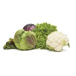 OXO-Pojemnik do przechowywania M biały, Good Grips - 15