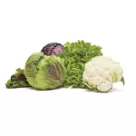 OXO-Pojemnik do przechowywania M biały, Good Grips - 15