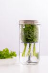 KIL-Słoik do przechowywania świeżych ziół - 7