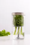 KIL-Słoik do przechowywania świeżych ziół - 7