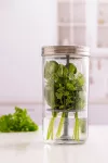 KIL-Słoik do przechowywania świeżych ziół - 8