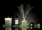 CM-Dyfuzor Premium  Reed 100ml. Verbena di Sicilia - 2