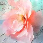 Pościel satyna bawełniana 12424/160x200 SATYNLOVE PREMIUM - 6