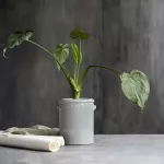 Donica Pottery M, Light grey House Doctor - 3