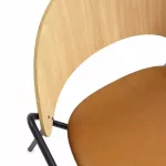 Dosina Dining Chair Upholstery and Armrests, Oak Cognac - 5