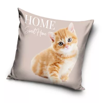 Poszewka velvet 40x40 sweet home kotek