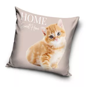 Poszewka velvet 40x40 sweet home kotek