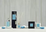 CM-Dyfuzor Santiago  Reed 100ml. Egypcian jasmine - 2