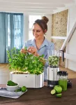 WMF EL-Blender wielofunkcyjny, Kult Pro - 15