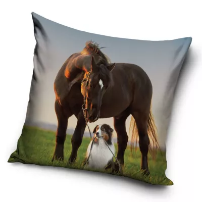 Poszewka velvet 40x40 Koń i pies