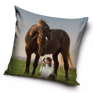 Poszewka velvet 40x40 Koń i pies