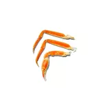 OXO-Widelczyki do homarów/owoców morza 4el. GG - 10