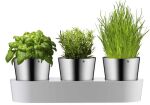 WMF-Zestaw 3 doniczek na zioła, Gourmet - 2
