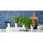 WMF-Zestaw 3 doniczek na zioła, Gourmet - 3